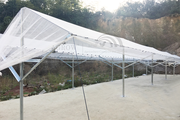 Agtek + Vineyard Anti-hail Gable System