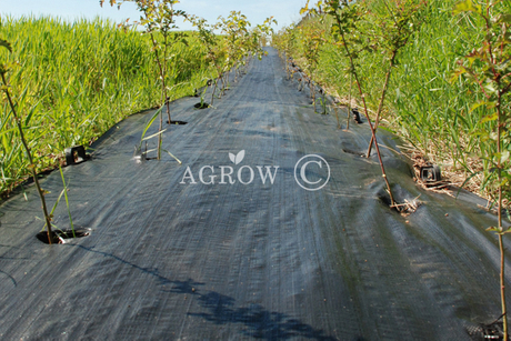 グラウンドウィードマット