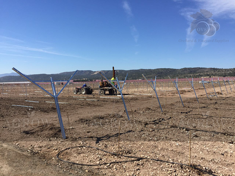 Estructura paraVi&ntilde;edosEspa&ntilde;a