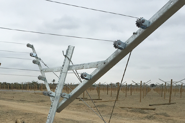 オープン切妻トレリスシステムエンドポストワイヤーストレーナー